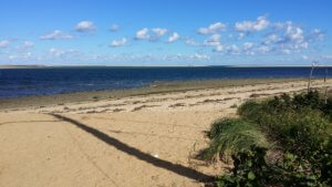 Sandy beach with ocean and blue sky.