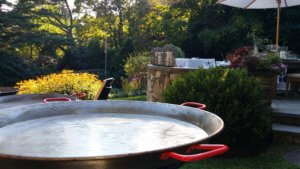 Large pan in a garden setting.