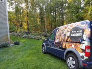 Van parked on grassy area near woods.